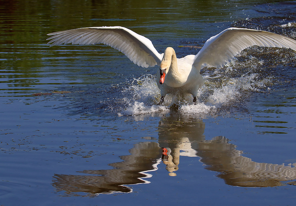 Landing