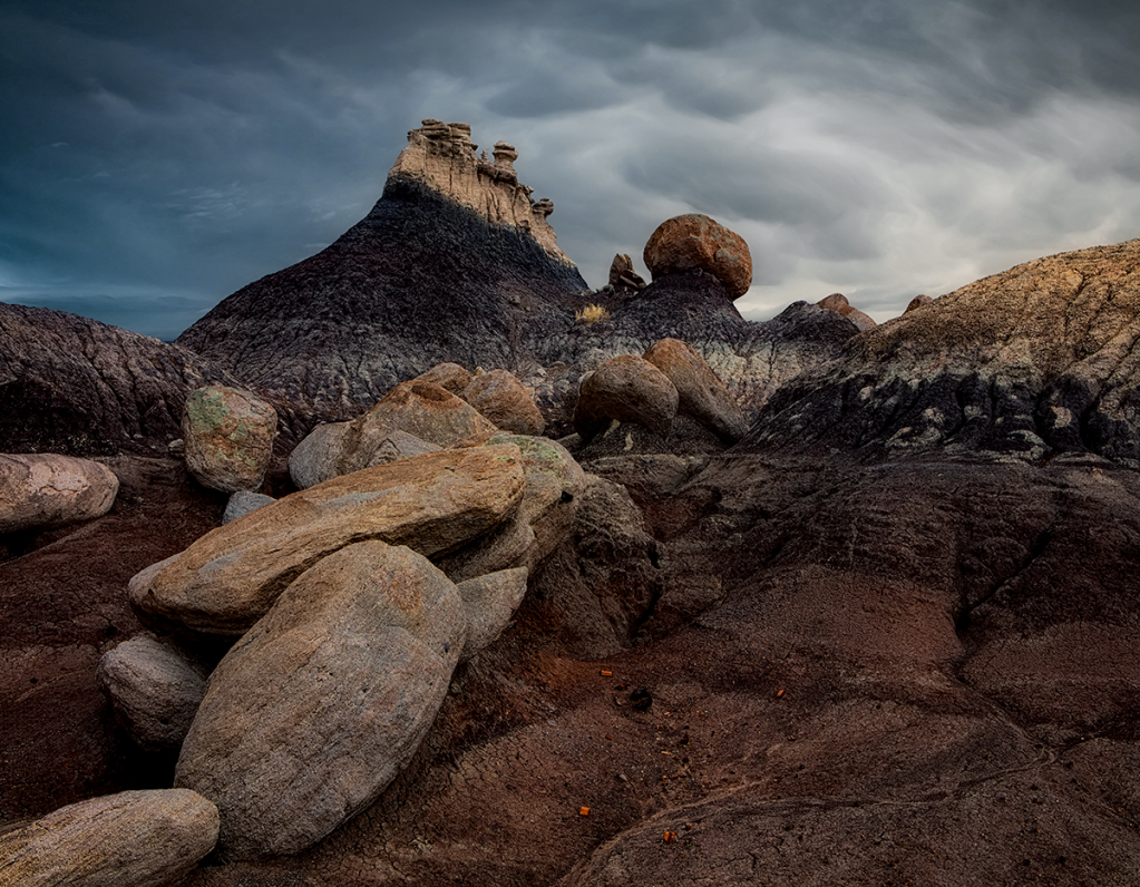 Petrified Forest