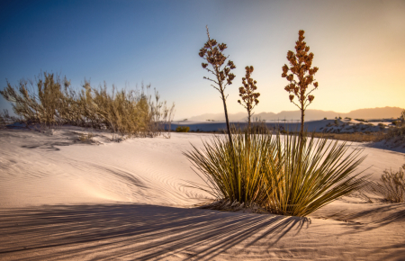 Sunset at White Sands