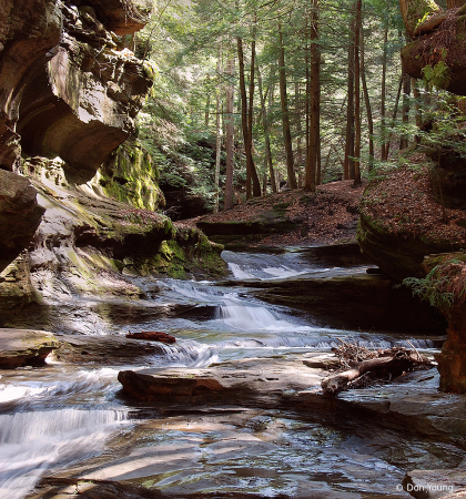 The Photo Contest 2nd Place Winner - Hocking Hills Stream