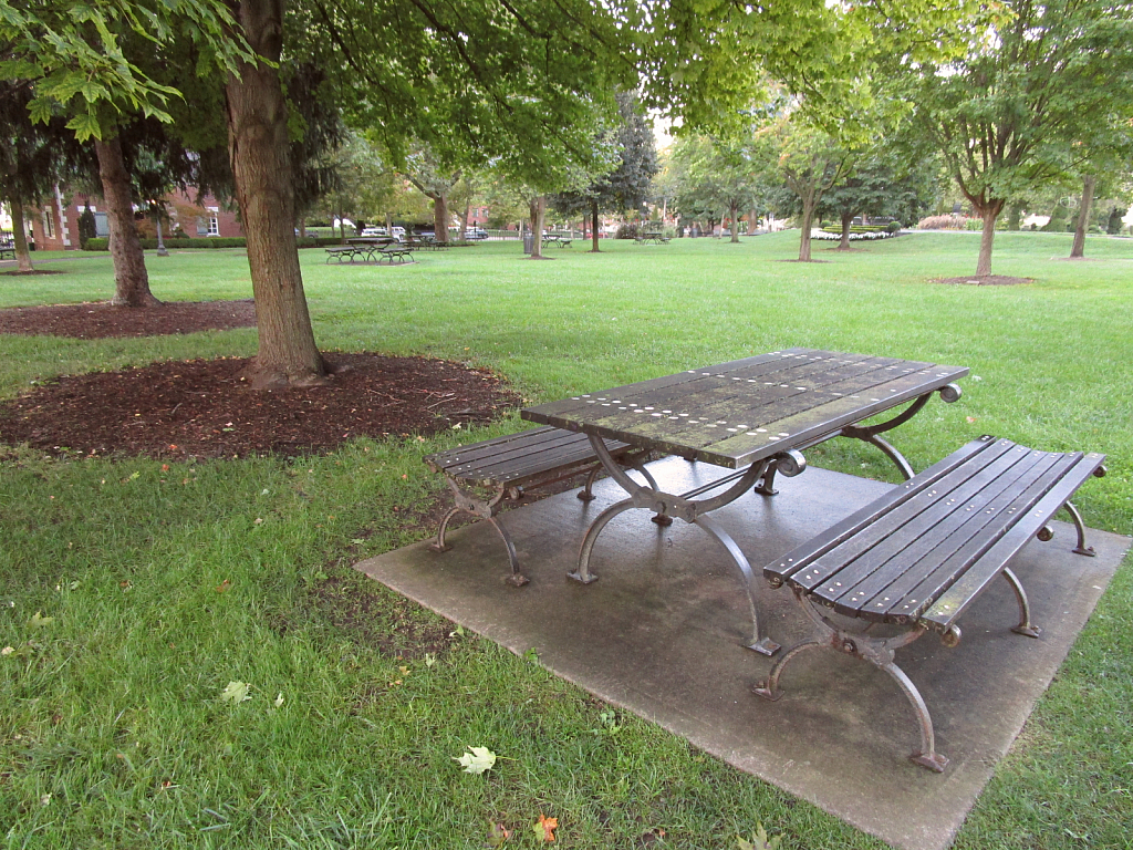 Picnic Bench in City Park