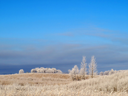 Bright Winter Day