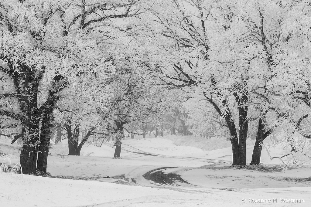 Windy North Dakota country road in frost