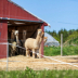 © Karen ODonnell PhotoID# 15886936: Our House.....
