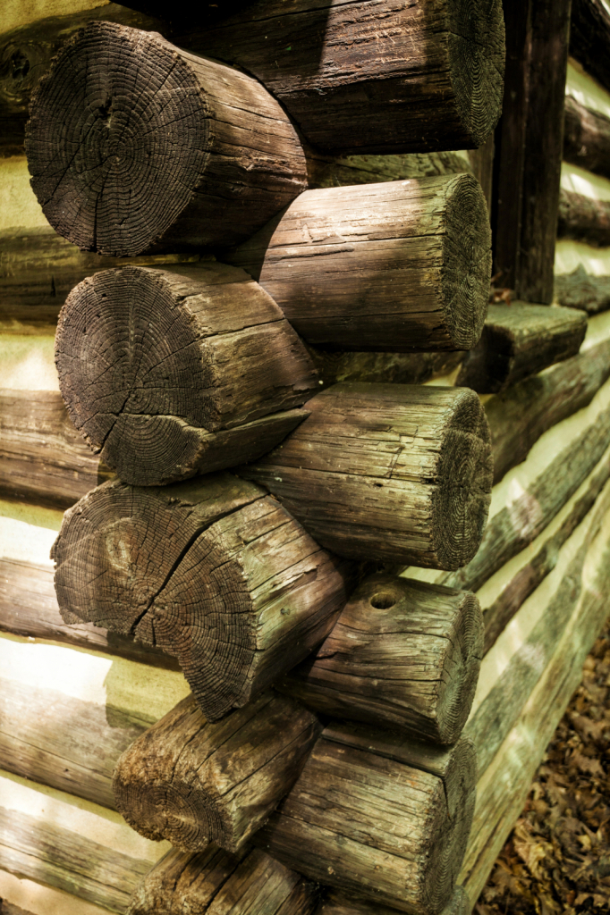 Cabin in The Woods - ID: 15886938 © Karen ODonnell