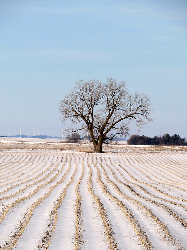 Snow Lines