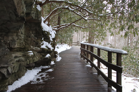 Winter Walkway