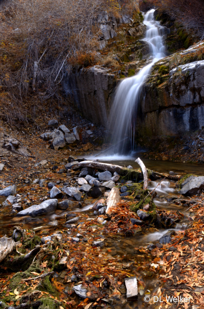 Salt Creek Falls in Late Autumn