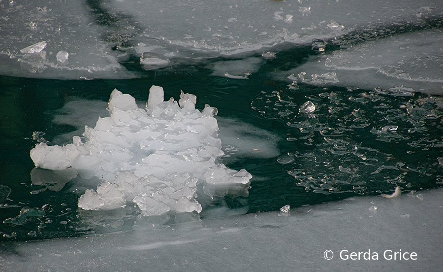 Ice Patterns at Harbourfront