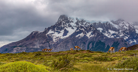 Torres del Paine National Park