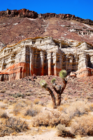 Red Rock Canyon State park