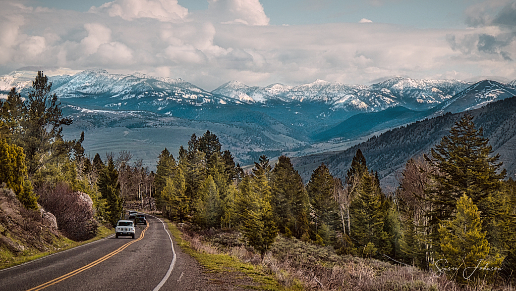 Yellowstone NP, Montana