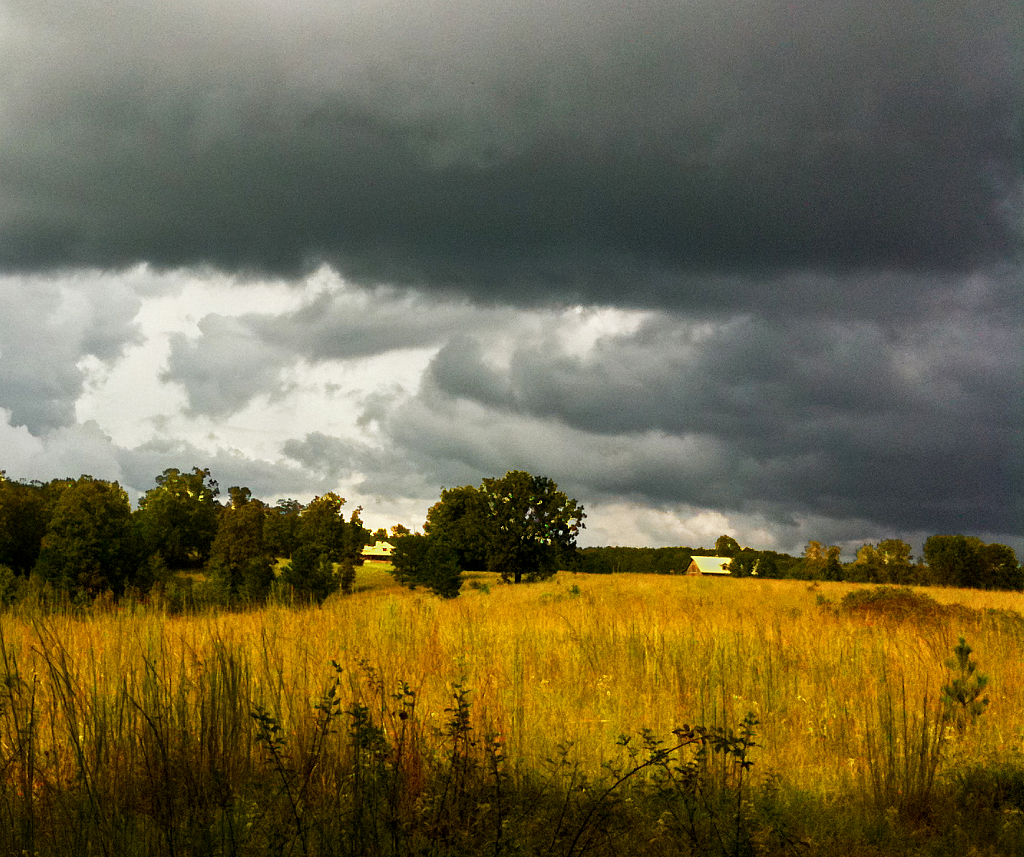 Stormy Day - ID: 15888968 © Janet Criswell