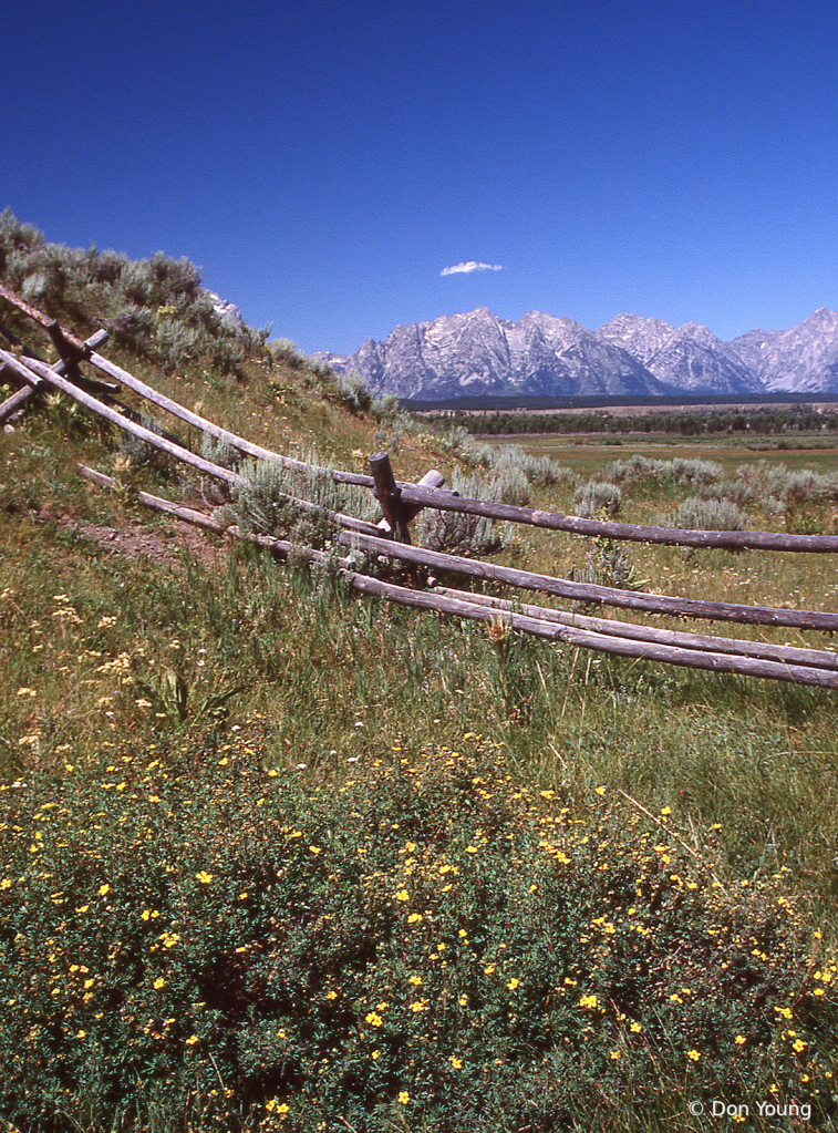 Teton Fence