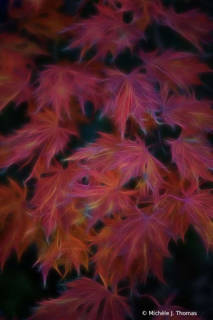 My Backyard Fall Leaves With A Twist!! - ID: 15889696 © Michèle J. Thomas