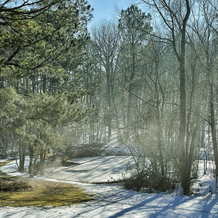 Low Fog over Frozen Pond