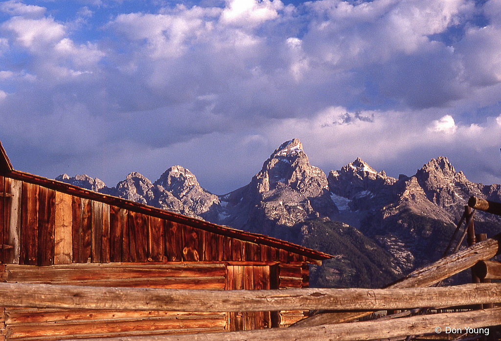 Teton Morning