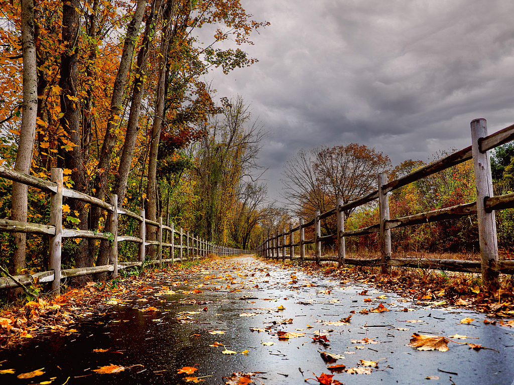      Walk in the Rain