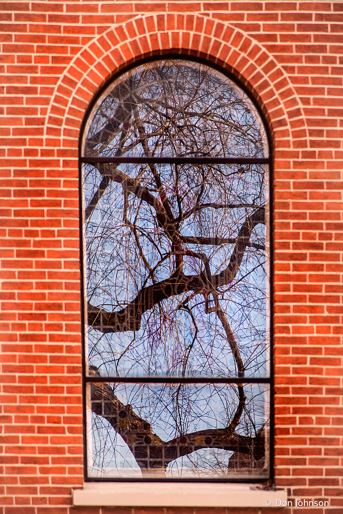 Annapolis Church Window 1-30-20 - ID: 15889950 © Don Johnson