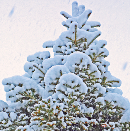 Snowing and Piling up Snow.