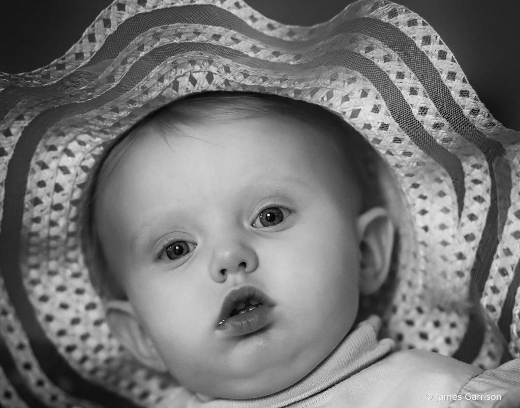 The Sun Bonnet