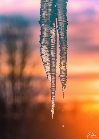 Icicle at Sunset