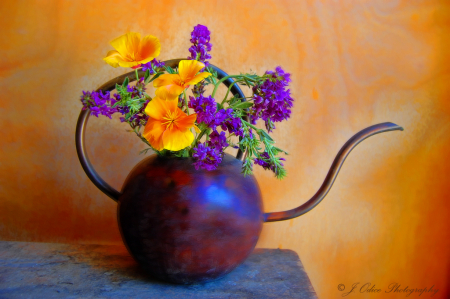 Poppies and Alfalfa