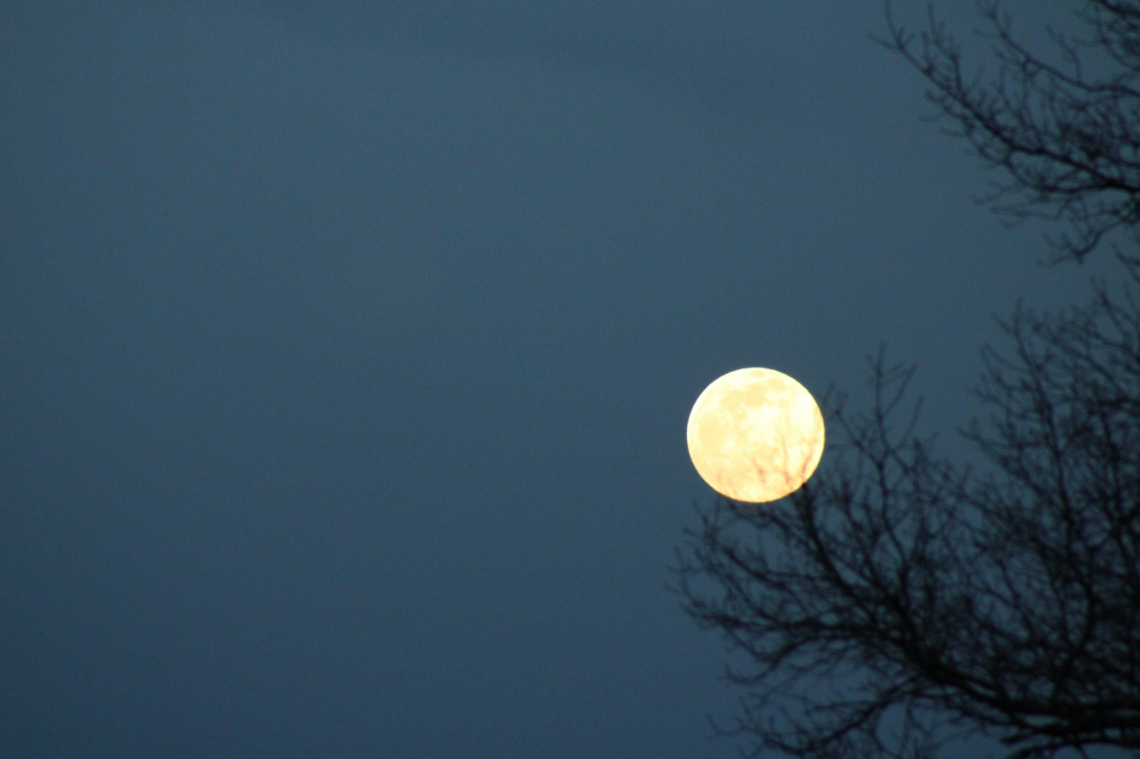 Snow Moon Shining