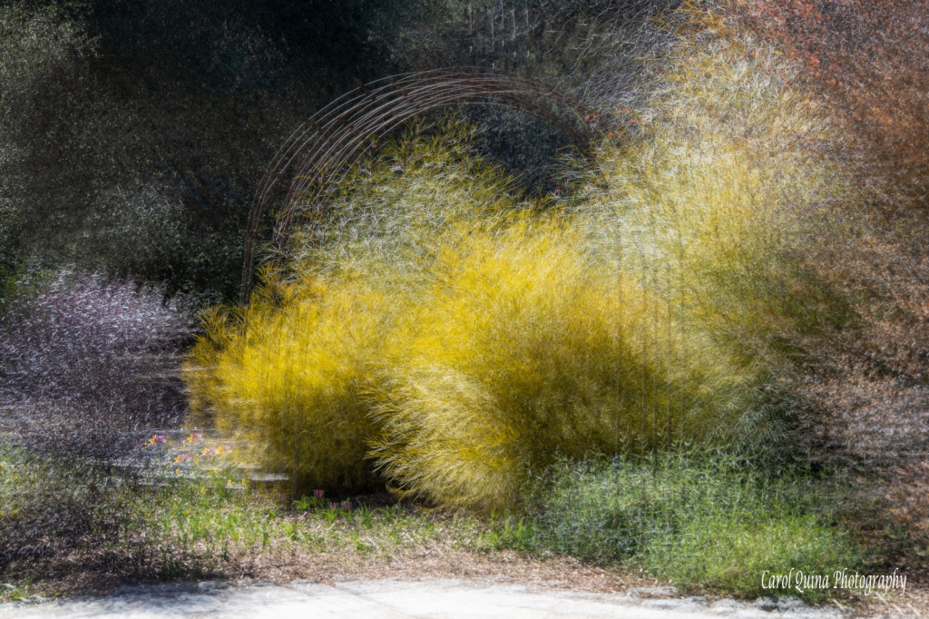 img7
