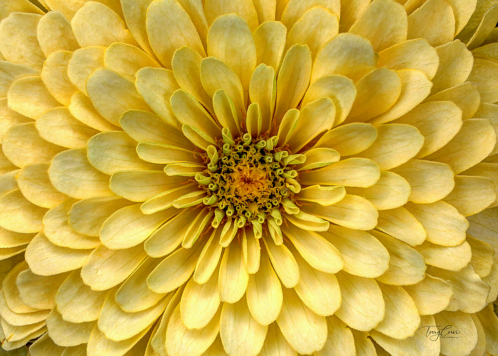 img7