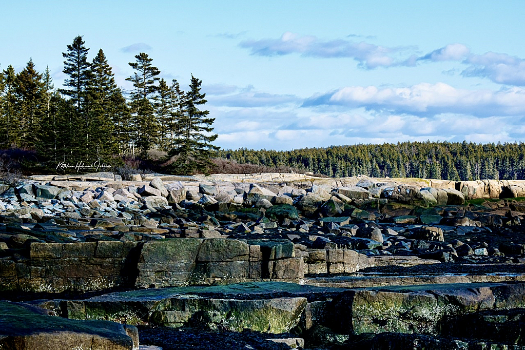 Low Tide