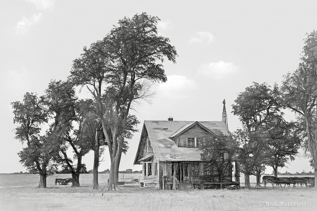 Kansas Farm