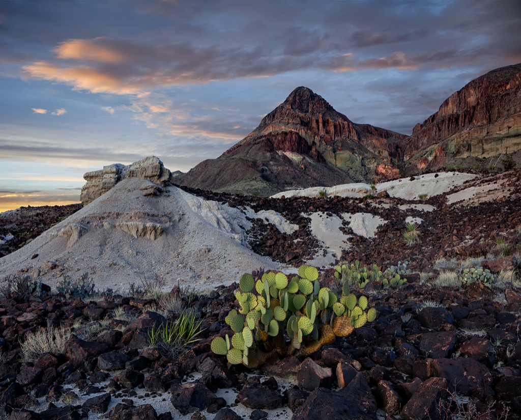 Big Bend NP