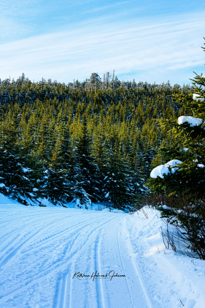 Snowmobiling - Time To Go Down!