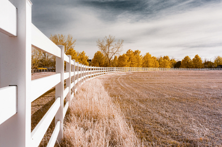 White fence