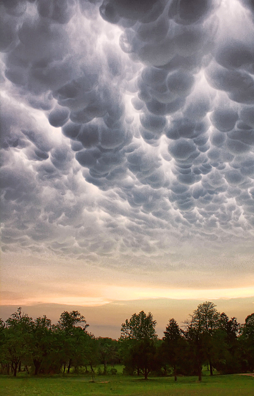 Mammatus Clouds