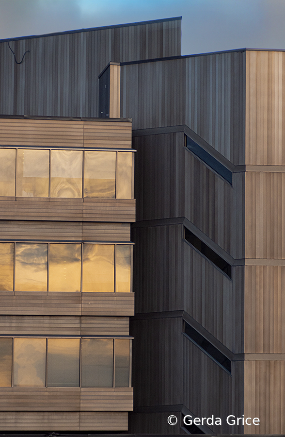 Forms and Reflections in Late Afternoon Sun