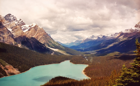 Peyto Lake