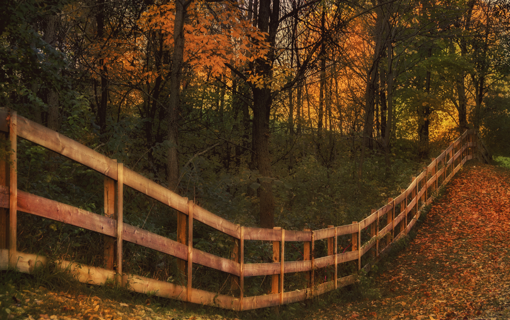 Fall Fence