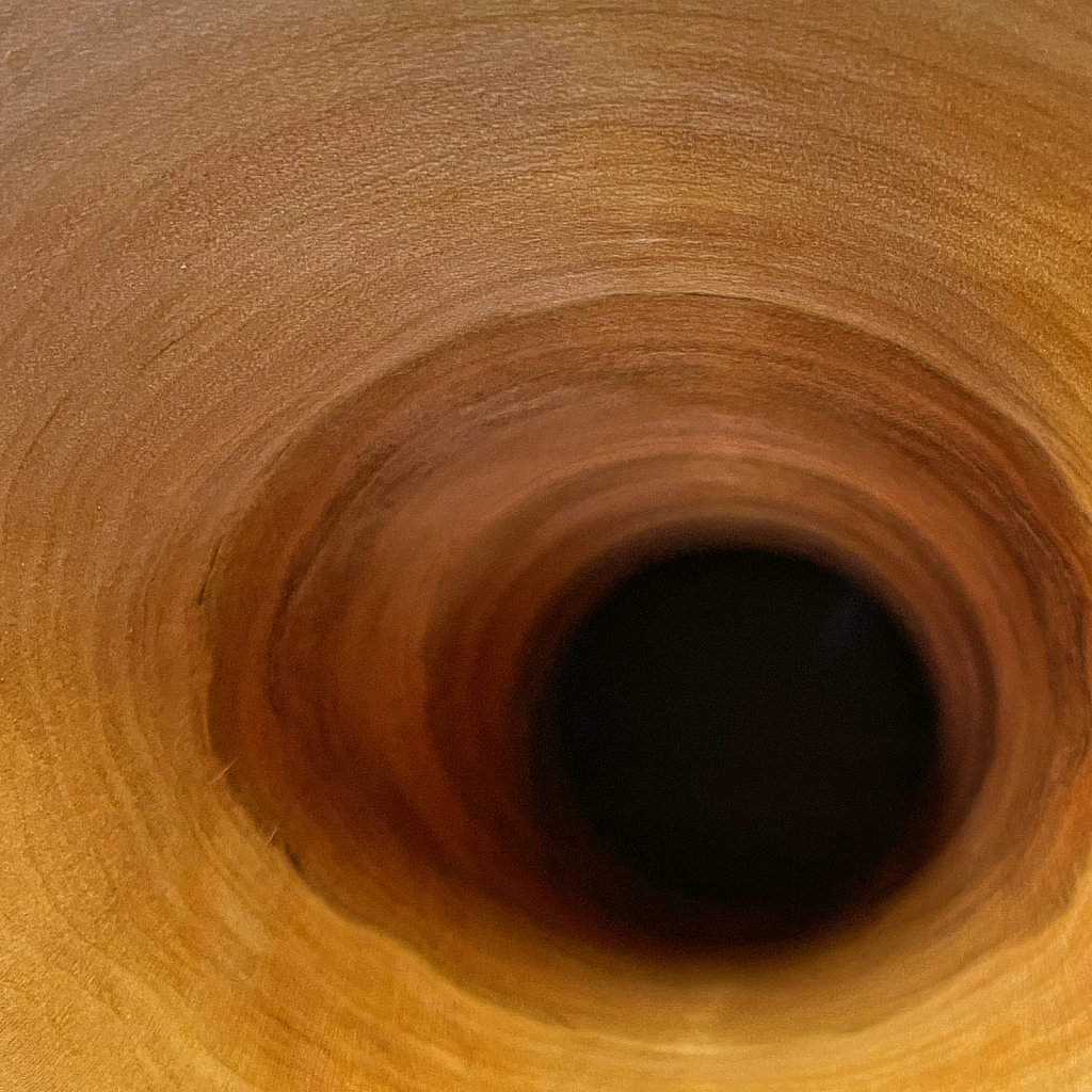 Black Hole  2021 Photo Challenge - ID: 15901526 © Janet Criswell