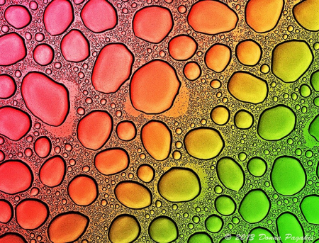 Rainbow Raindrops 