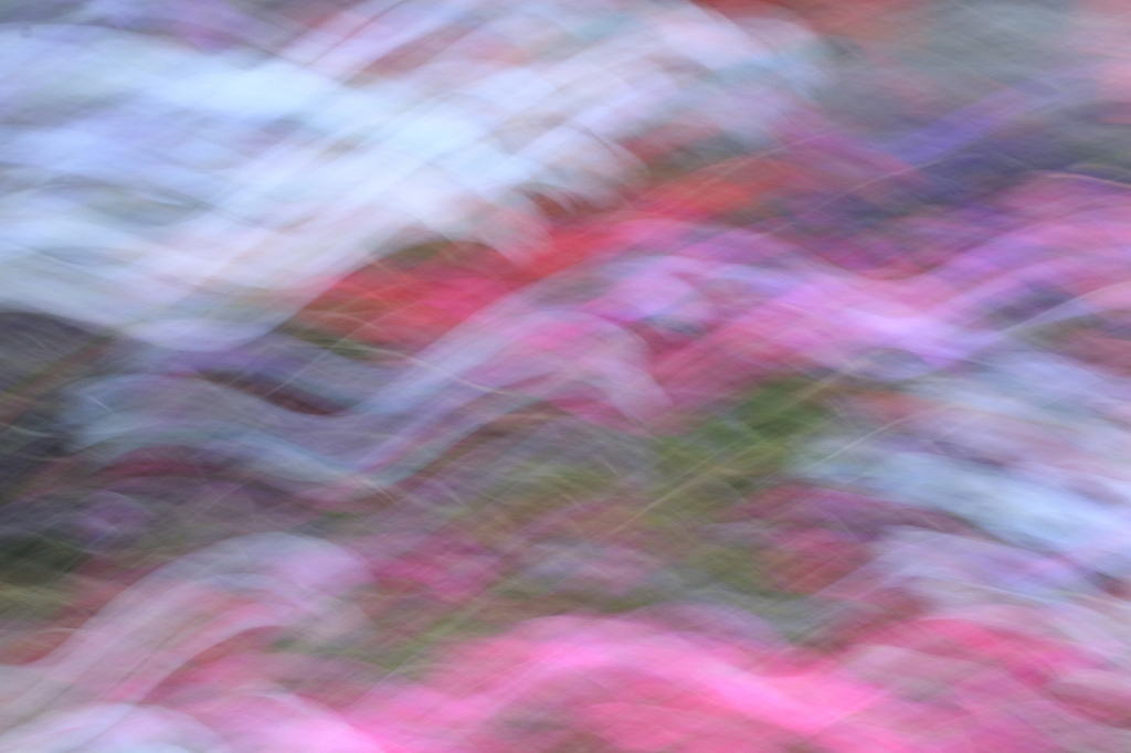 img1