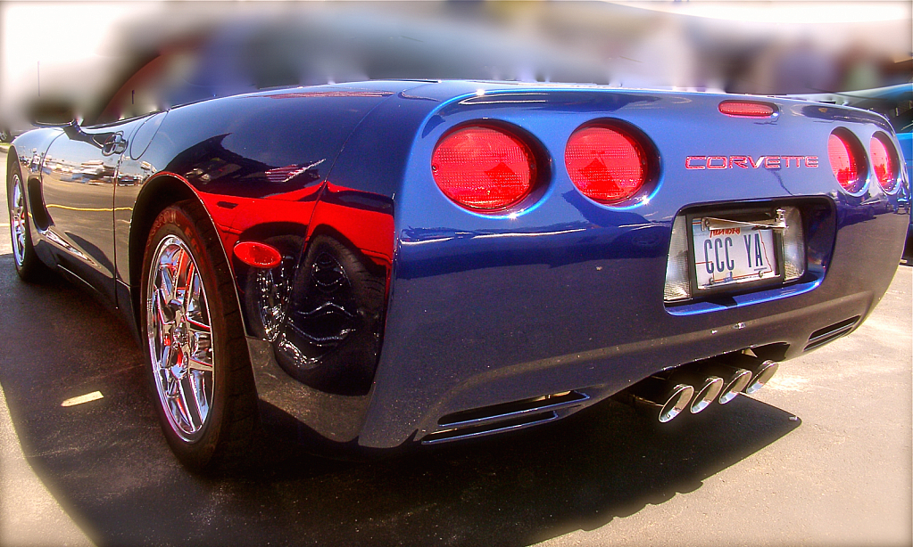 Vette-Showing off