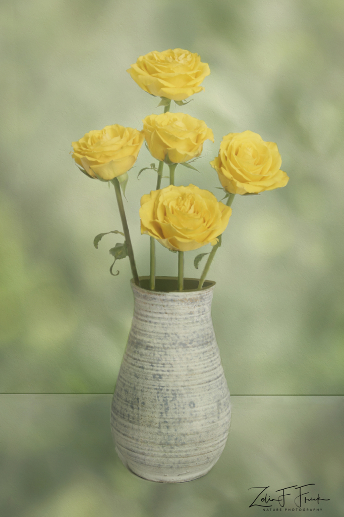 Vase of Yellow Roses #5197 - ID: 15902208 © Zelia F. Frick