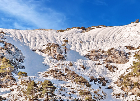 Snow Patterns.