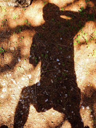 My Shadow photographing-2021 Photo Challenge.