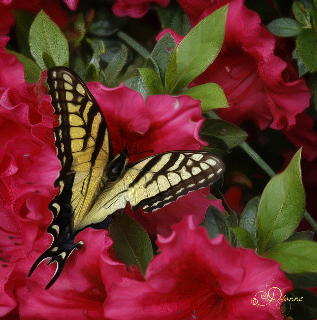 Papillon et fleurs