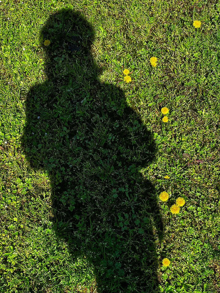 Dandelion Walk 2021 Photo Challenge Day 4 - ID: 15902517 © Janet Criswell