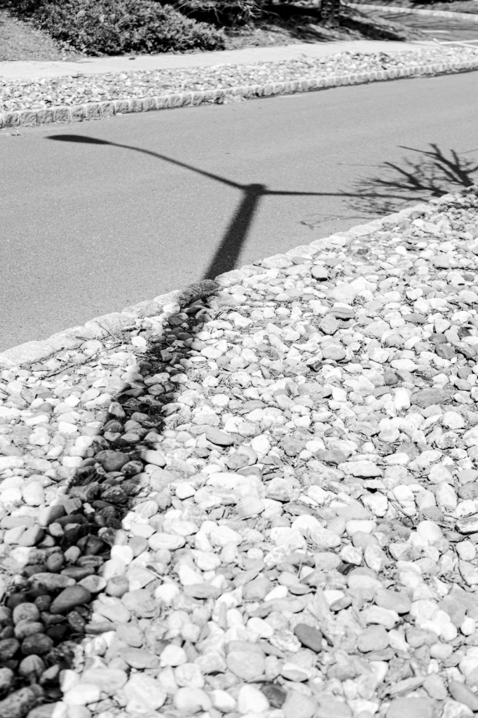 Light Pole Shadows  - ID: 15902640 © Karen ODonnell