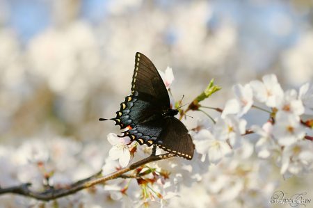 Spring Has Arrived!